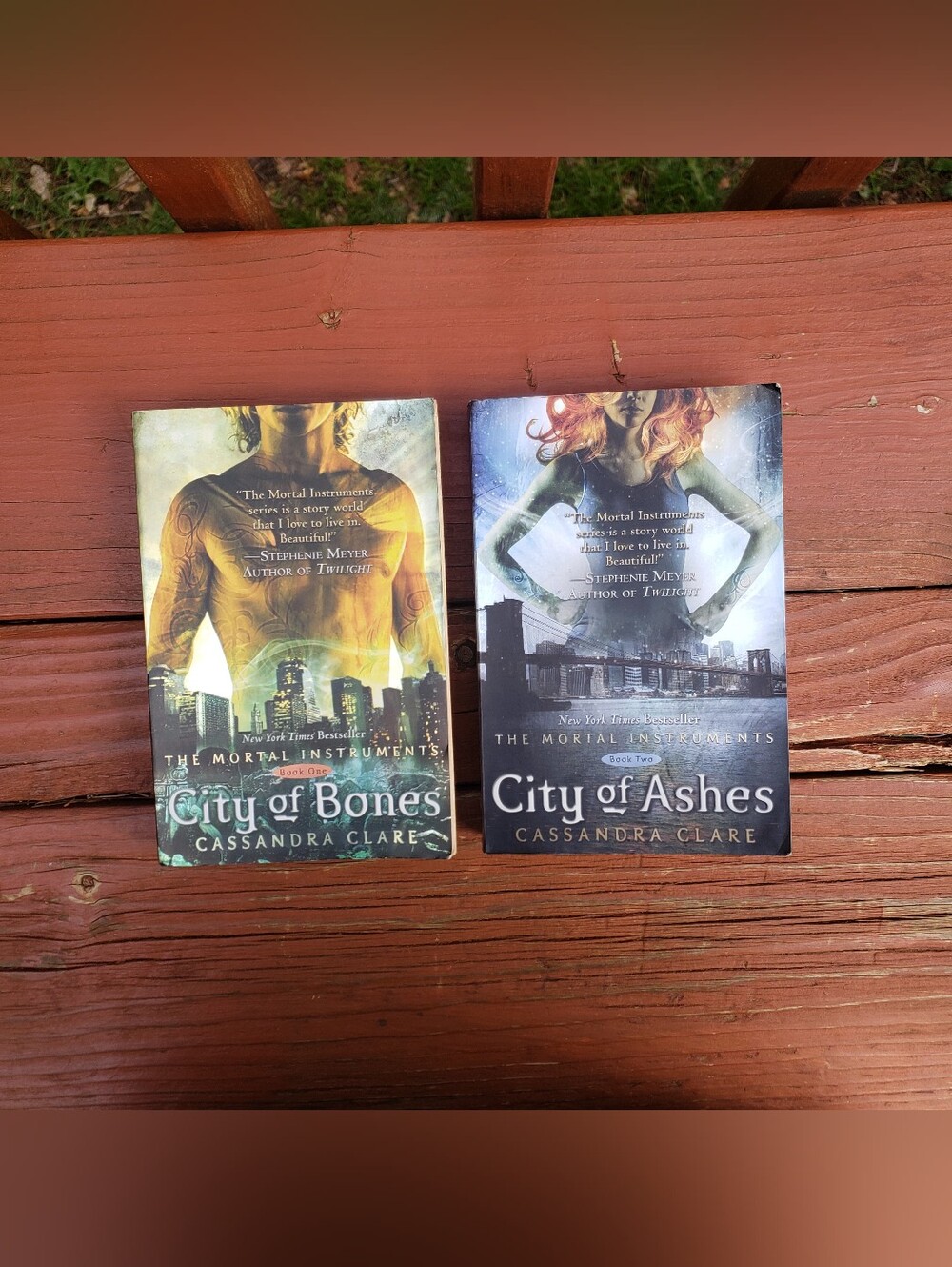 The Mortal Instruments: City Of Bones & City Of Ashes Paperback Book Bundle